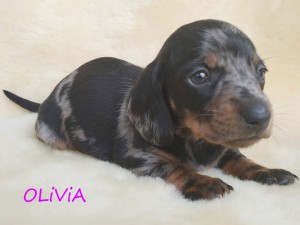 Olivia 4 tygodnie