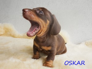 Oskar