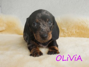 Olivia