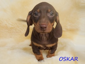 Oskar