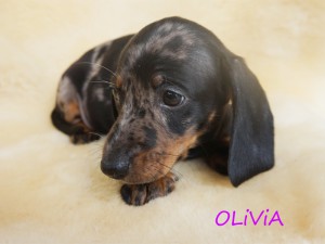 Olivia