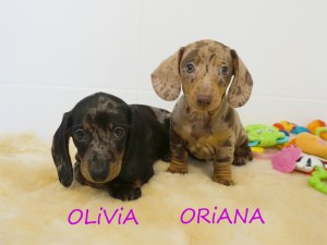 Olivia i Oriana