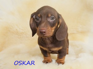 Oskar