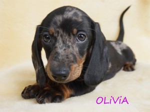 Olivia