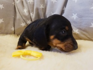 4 tydzień _  Viktor