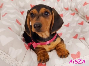 AiSZA - dziewczynka 3