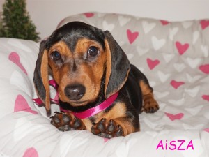 AiSZA - dziewczynka 3